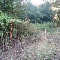 LA - Franklin 112.5 acres - images 2