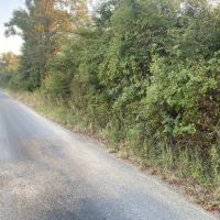 LA - Franklin 112.5 acres - images 3