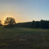 LA - Franklin 112.5 acres - images 4