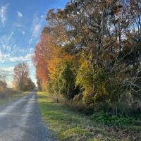 New Listing 77 - Ac FM 2486 Gustine images 2