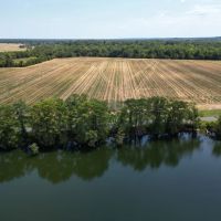 LA - Caldwell 22 acres - images 2