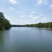 LA - Caldwell 22 acres - images 3