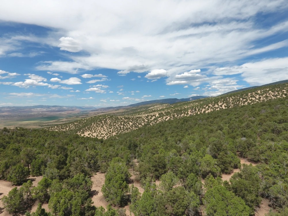 Perfect Recreational property featured image