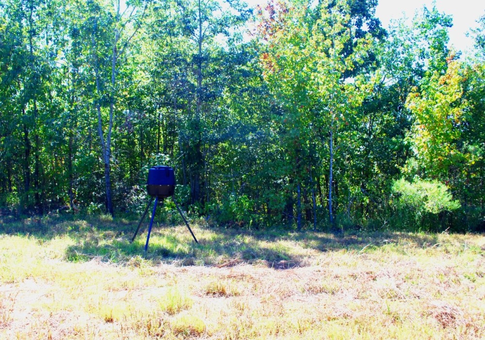 80 Acres in Webster County MS featured image