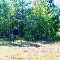 80 Acres in Webster County MS