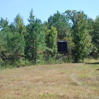 80 Acres in Webster County MS images 3