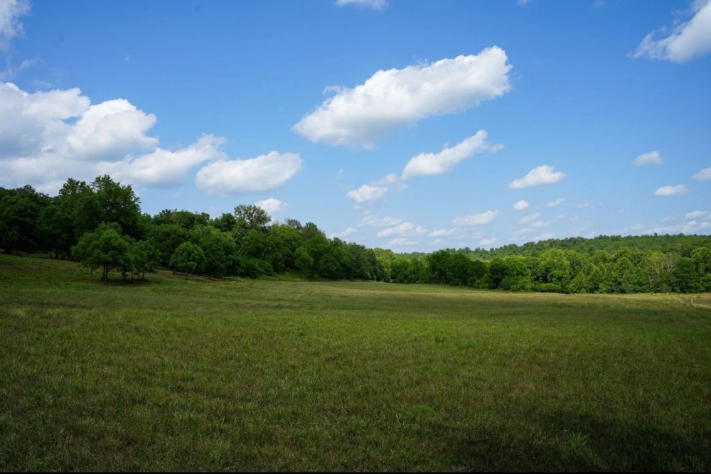 Combination Farm With Pasture Live Water Mature Timber featured image