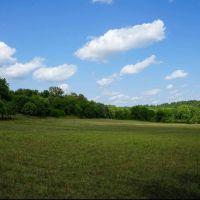 Combination Farm With Pasture Live Water Mature Timber