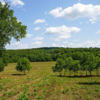 Combination Farm With Pasture Live Water Mature Timber images 2