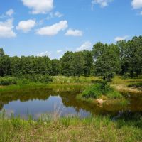 Combination Farm With Pasture Live Water Mature Timber images 3