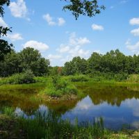 Combination Farm With Pasture Live Water Mature Timber images 4