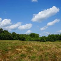 Combination Farm With Pasture Live Water Mature Timber images 5