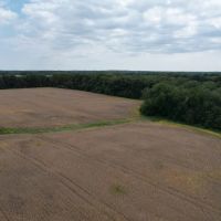 Rare find near Trail of Tears State Park 325 Arapaho Lane images 3