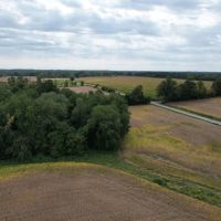 Rare find near Trail of Tears State Park 325 Arapaho Lane images 5
