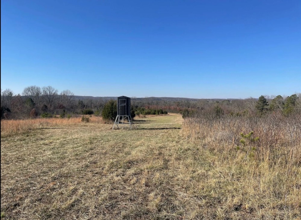 Turn-Key Hunting Property With Food Plots And Stands featured image