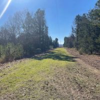 Turn-Key Hunting Property With Food Plots And Stands images 2