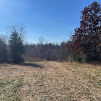 Turn-Key Hunting Property With Food Plots And Stands images 3