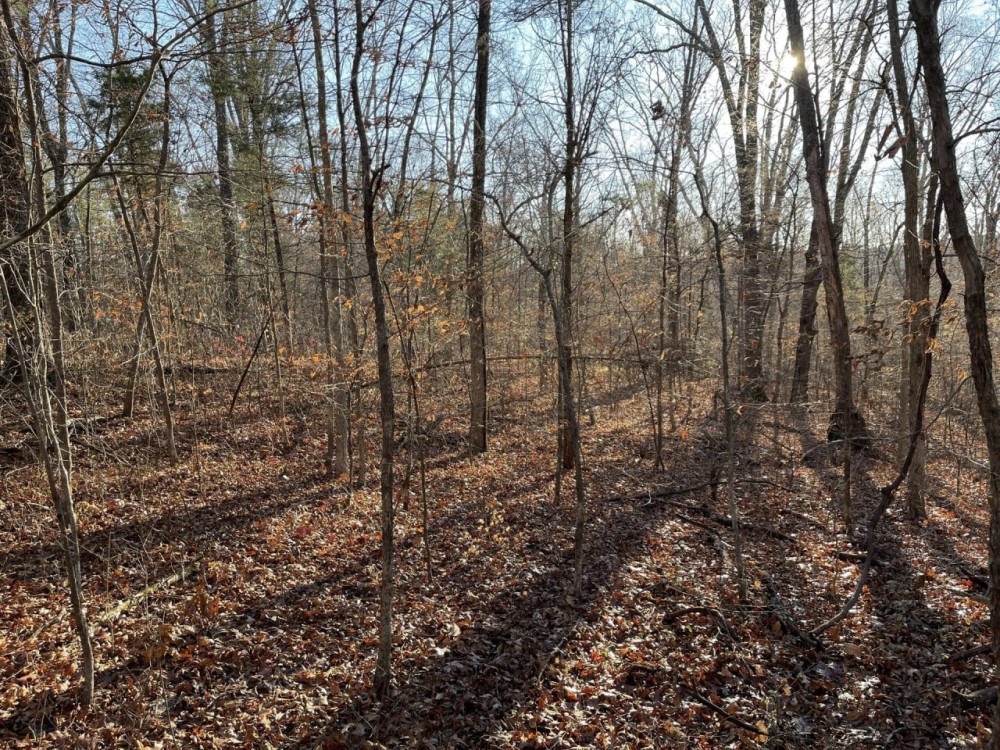 Price Improvement 90 - Acres Comanche County featured image