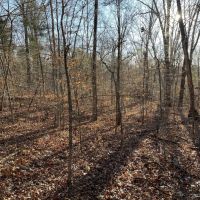 Price Improvement 90 - Acres Comanche County