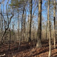 Price Improvement 90 - Acres Comanche County images 2
