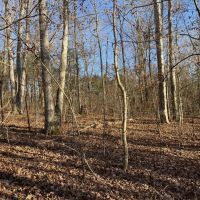 Price Improvement 90 - Acres Comanche County images 3