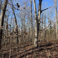 Price Improvement 90 - Acres Comanche County images 4