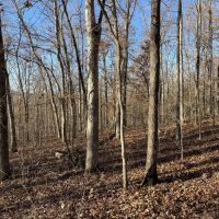 Price Improvement 90 - Acres Comanche County images 5