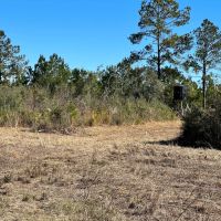 234 Acres with a Home in Walthall County MS images 5