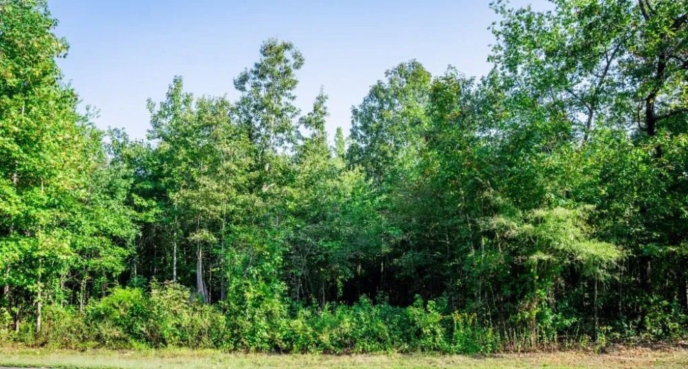 18 - Ac Pvt Rd TBD Abilene Tract 5 featured image