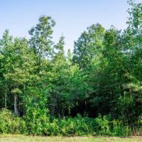 18 - Ac Pvt Rd TBD Abilene Tract 5
