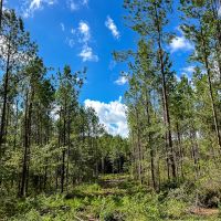 The Payne Ranch images 5