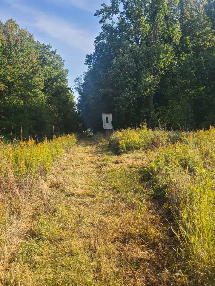 New PropertTurnKey Cattle Farm Near Table Rock Lake Hunting Land for