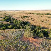 Custer County 160 images 4