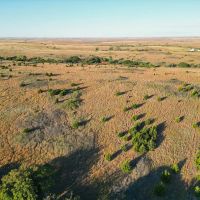 Custer County 160 images 5