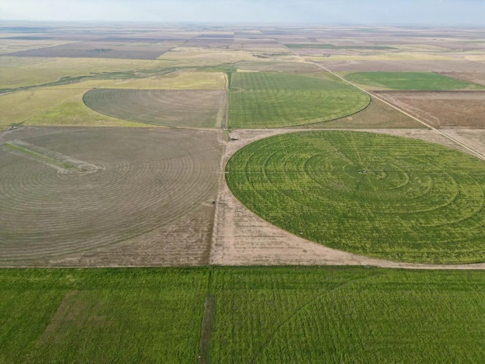 Baca Prowers County 7 Irrigated Quarters featured image