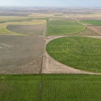 Baca Prowers County 7 Irrigated Quarters images 1