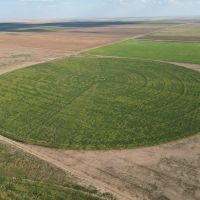 Baca Prowers County 7 Irrigated Quarters images 2