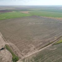 Baca Prowers County 7 Irrigated Quarters images 3