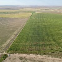 Baca Prowers County 7 Irrigated Quarters images 4