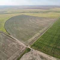 Baca Prowers County 7 Irrigated Quarters images 5