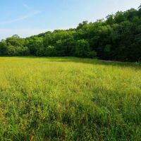 Beautiful Home Near Nixa And Hidden Valley Golf Links images 3