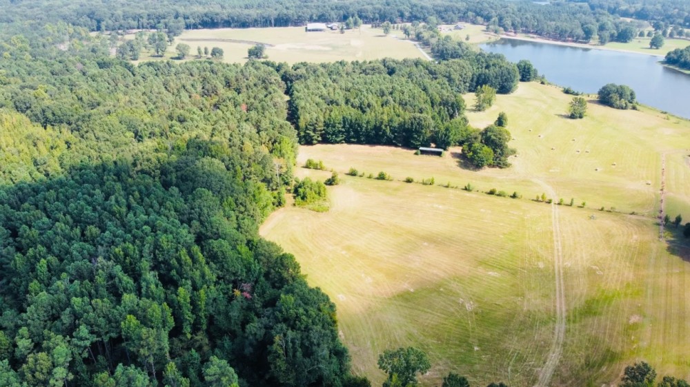 78.26 Acres in Flora in Madison County MS featured image