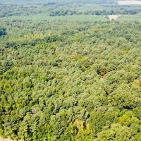 78.26 Acres in Flora in Madison County MS images 3