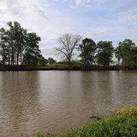 LA - Caldwell 38.5 acres - images 5