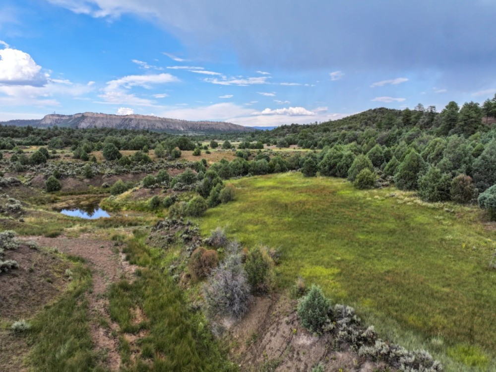 Large tract near Leipers Fork TN featured image