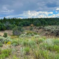 Large tract near Leipers Fork TN images 4