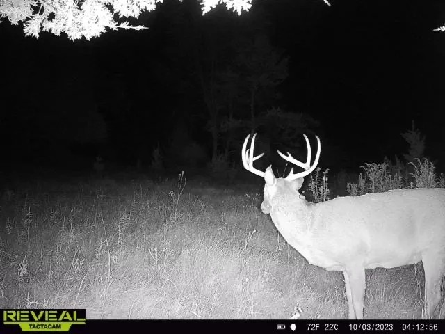 Cottonwood Creek 194 featured image