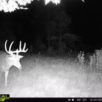 Cottonwood Creek 194 images 3