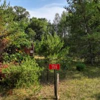 Cottonwood Creek 194 images 5