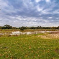 TBD FM 530 Hallettsville TX 77964 images 4